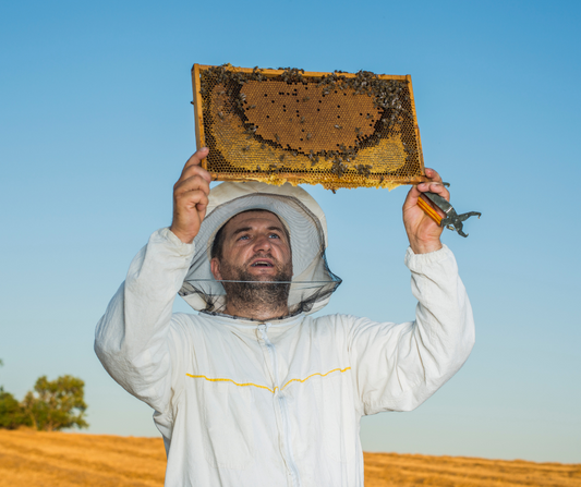 Essential steps before you start beekeeping